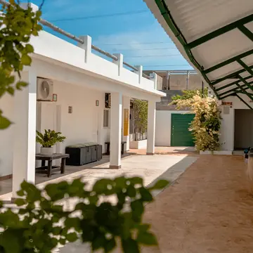 El pasillo blanco de las habitaciones con plantas.